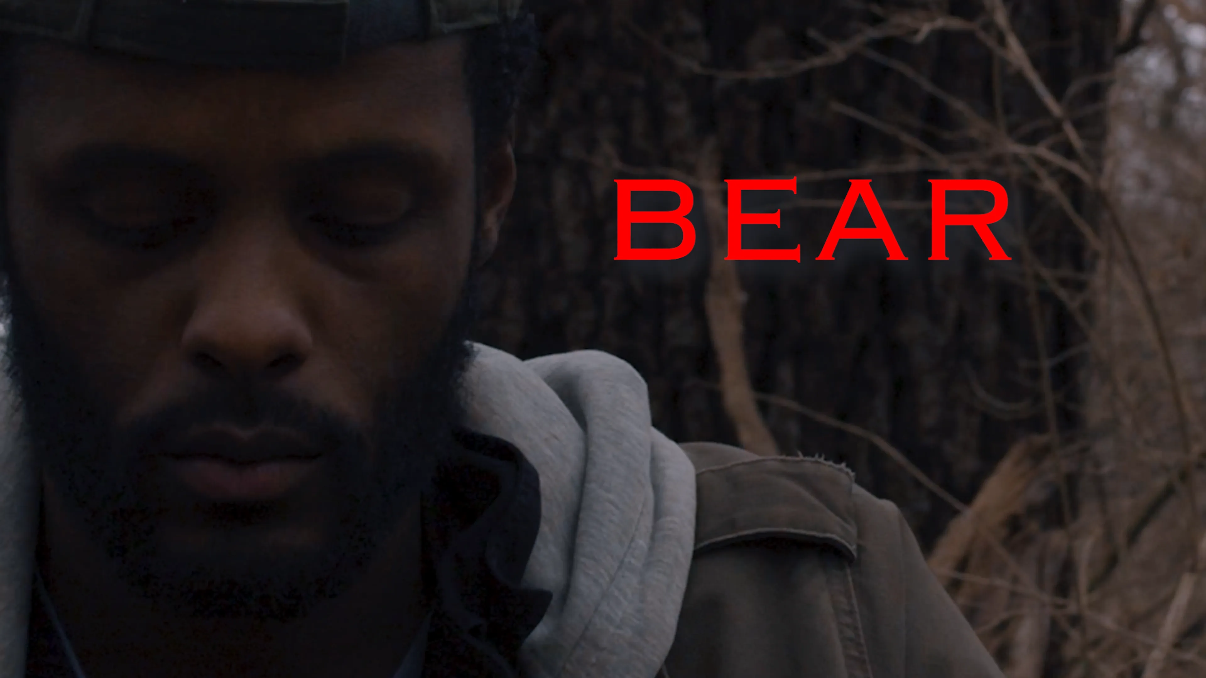 Bear poster